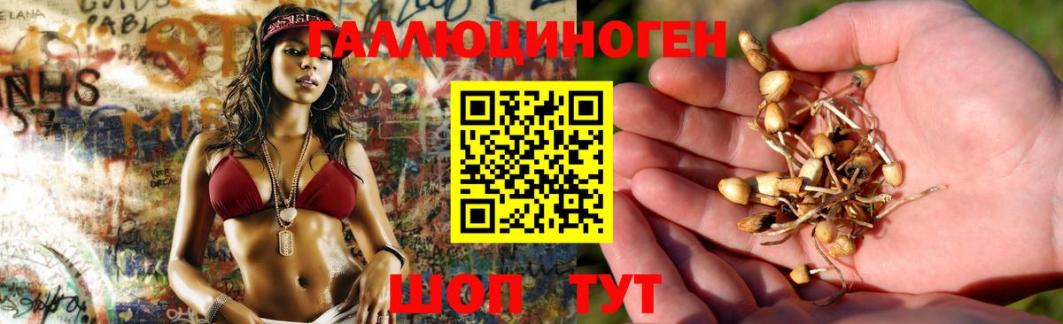 Галлюциногенные грибы Magic Shrooms  Вход с VPN  Пугачёв  Галлюциногенные грибы GOLDEN TEACHER 